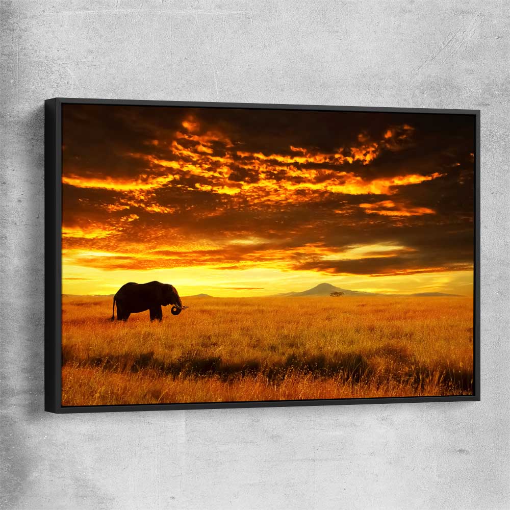 Animal wall art and canvas prints of Savannah Elephant Sunset with black framed canvas