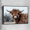 Animal wall art and canvas prints of Scottish Highland with black framed canvas