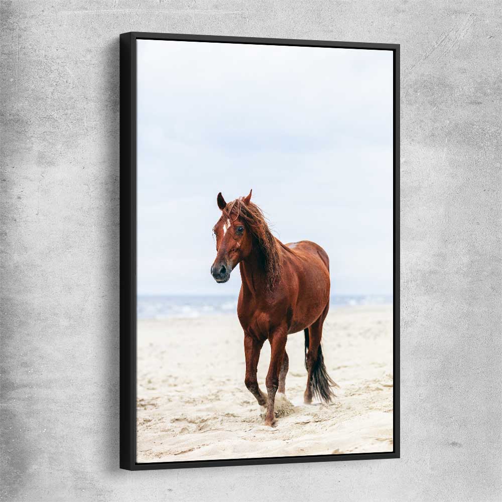 Animal wall art and canvas prints of Sea Breeze Horse with black framed canvas