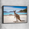 Animal wall art and canvas prints of Shoreline Kangaroo with black framed canvas