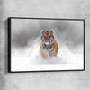 Animal wall art and canvas prints of Snow Tiger Charge with black framed canvas