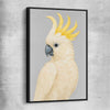 Animal wall art and canvas prints of Sulphur-crested Cockatoo with black framed canvas