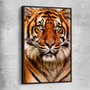 Animal wall art and canvas prints of Tiger Silent Power with black framed canvas