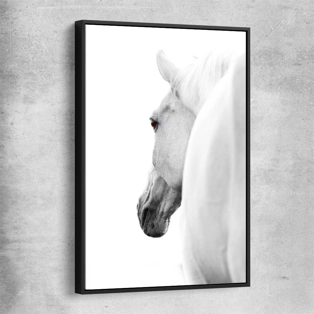 Animal wall art and canvas prints of White Horse Elegance with black framed canvas