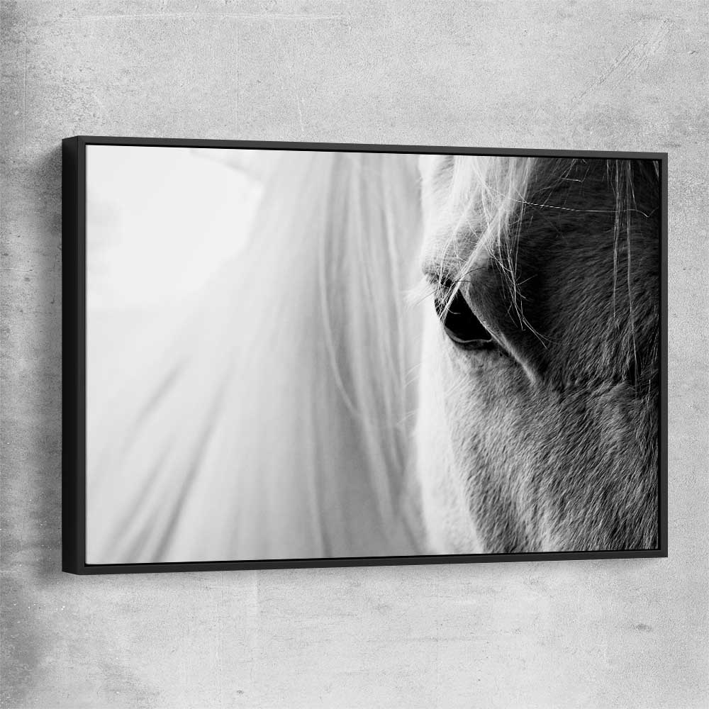 Animal wall art and canvas prints of White Horse Grace with black framed canvas
