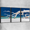 Beach and coastal wall art print of Whitsundays Driftwood Set with black framed canvas