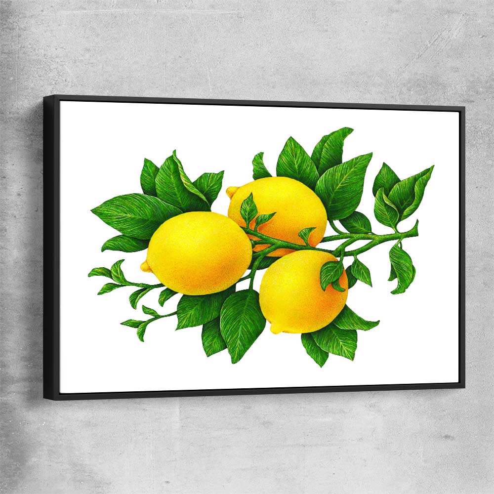 Lemon Botanical black framed canvas is a colourful and stylish canvas wall art and print suited for the kitchen area