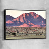 Floral print of Namib Rand Desert with black framed canvas