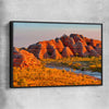 Floral print of Bungle Bungles with black framed canvas
