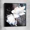 Floral print of Calming White Flowers with black framed canvas