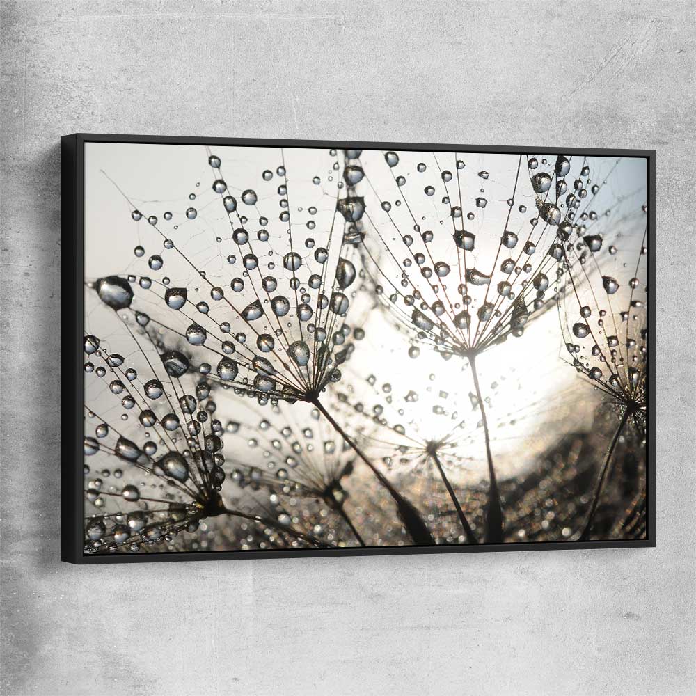Floral print of Dandelion Seed Sunrise with black framed canvas