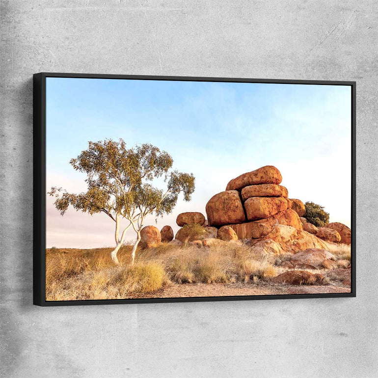 Floral print of Devils Marbles with black framed canvas