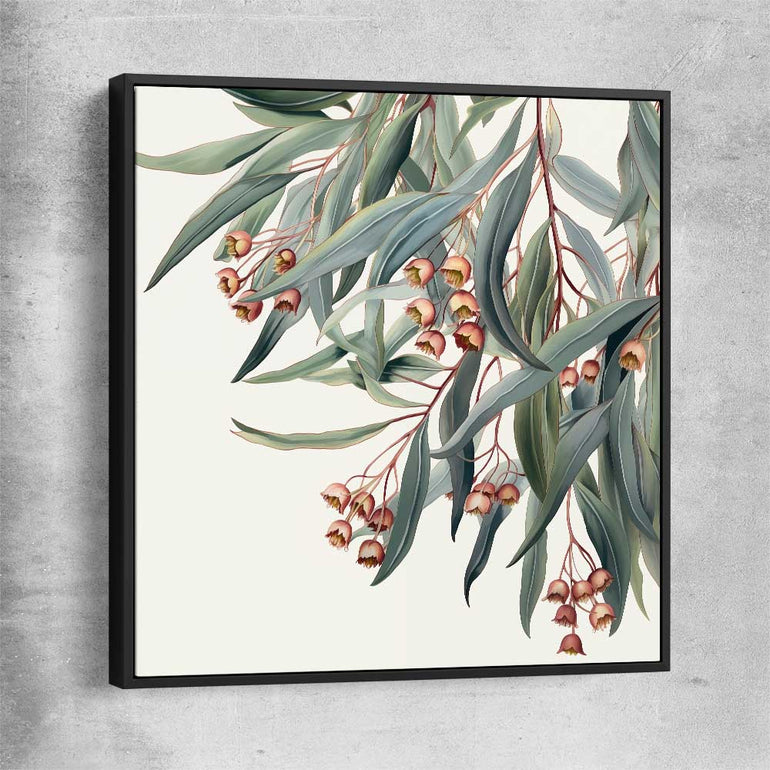 Floral print of Eucalyptus Illustration with black framed canvas