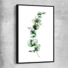 Floral print of Eucalyptus One with black framed canvas