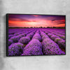 Floral print of Lavender Field with black framed canvas
