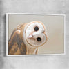 Animal wall art and canvas prints of Barn Owl Gaze with white framed canvas