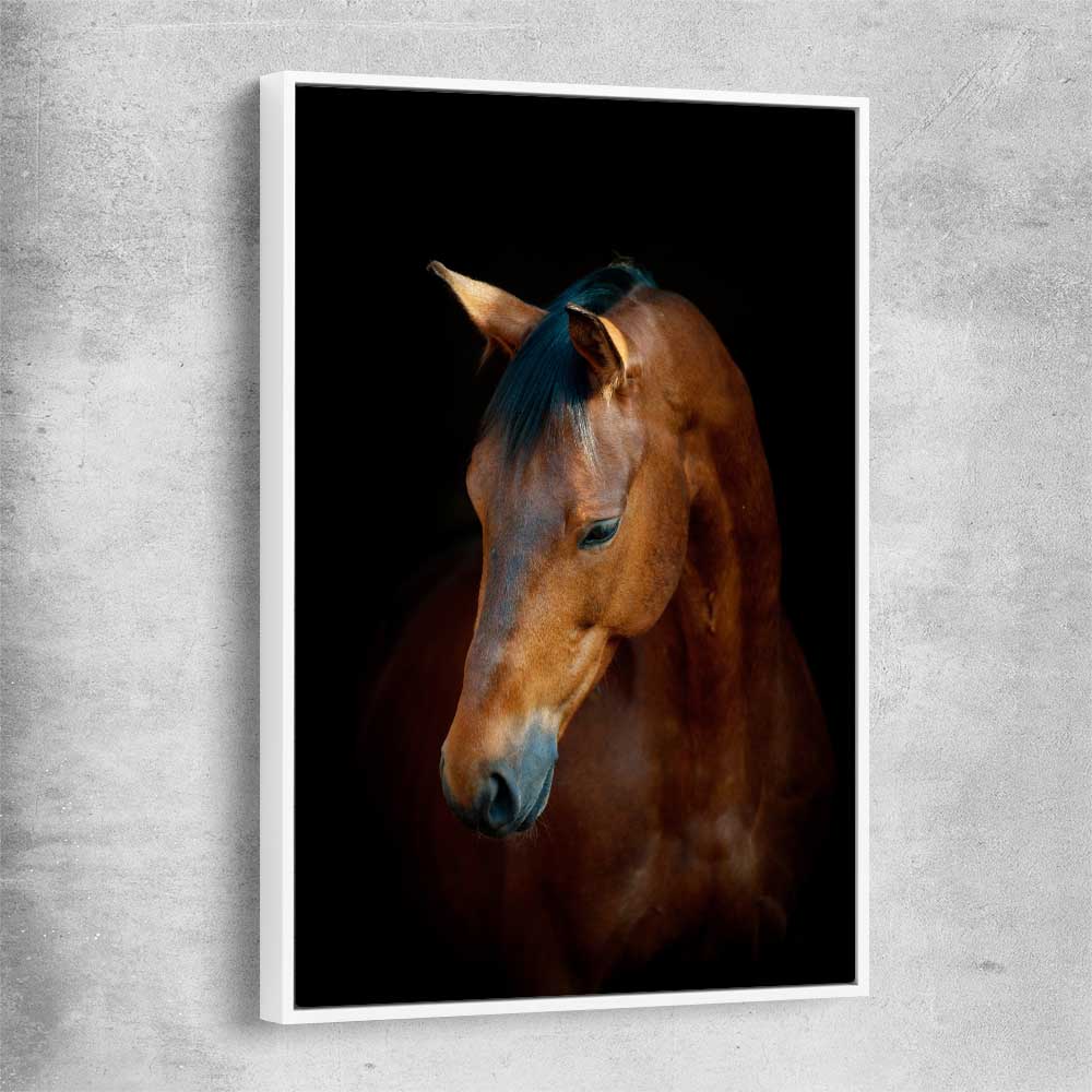 Animal wall art and canvas prints of Chestnut Horse Portrait with white framed canvas