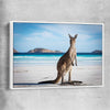 Animal wall art and canvas prints of Coastal Kangaroo Gaze with white framed canvas
