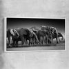 Animal wall art and canvas prints of Elephant Herd with white framed canvas
