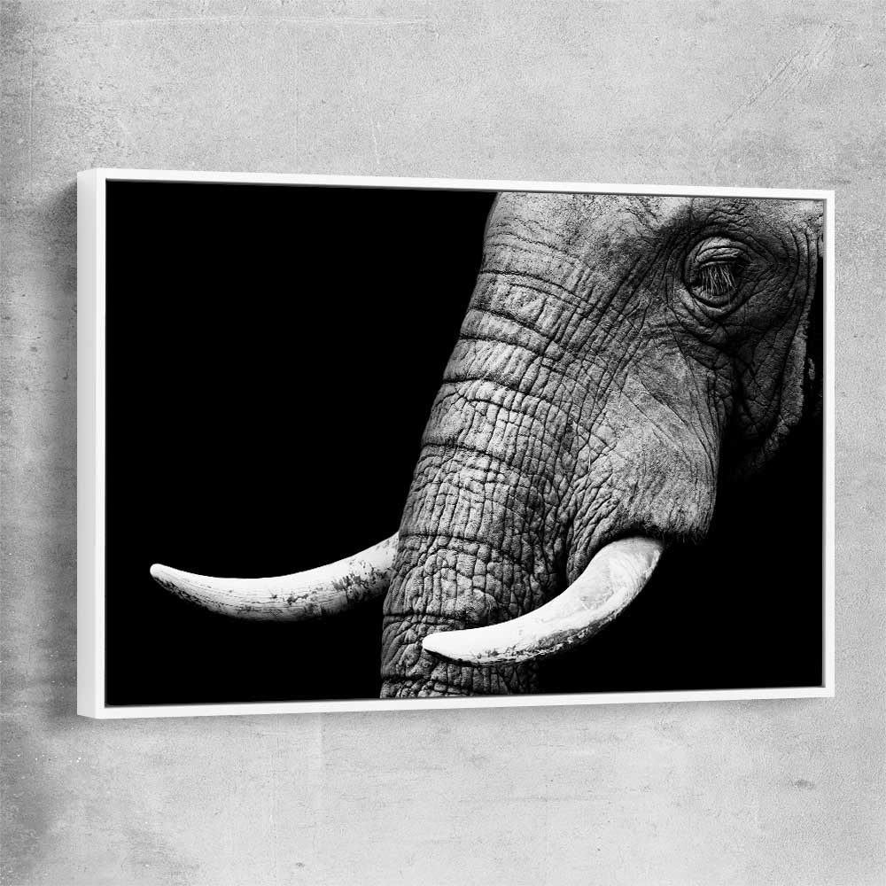 Animal wall art and canvas prints of Elephant Majesty with white framed canvas