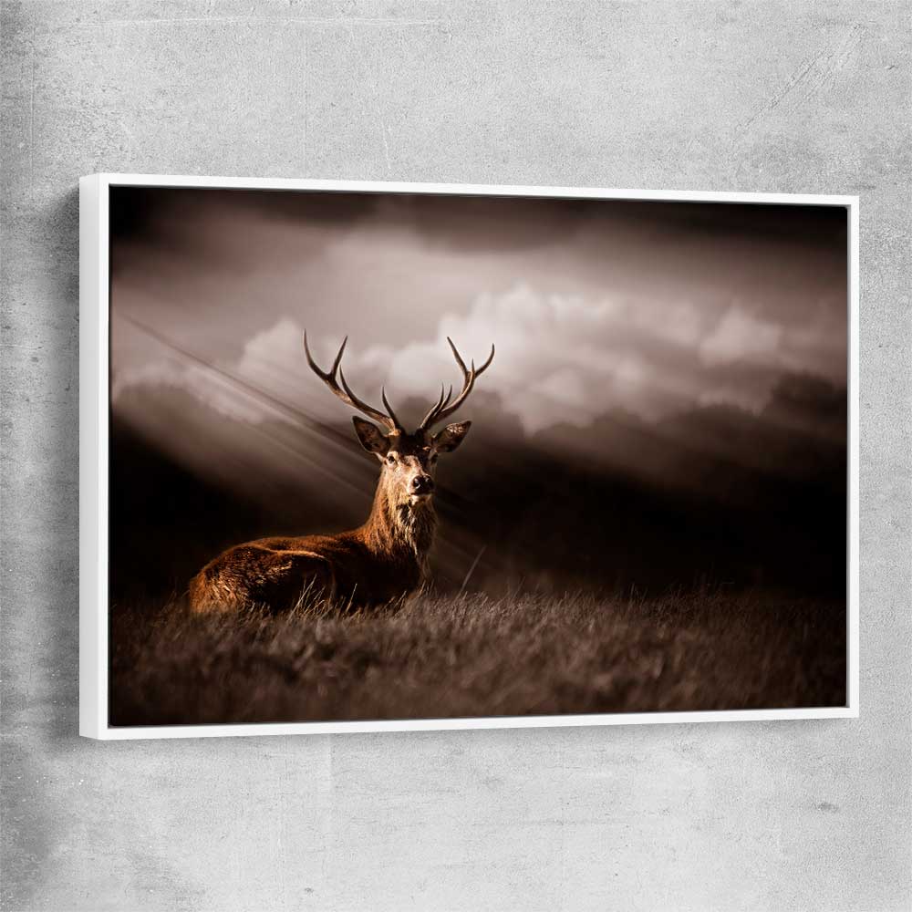 Animal wall art and canvas prints of Glowing Deer with white framed canvas