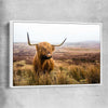 Animal wall art and canvas prints of Highland Horizon with white framed canvas