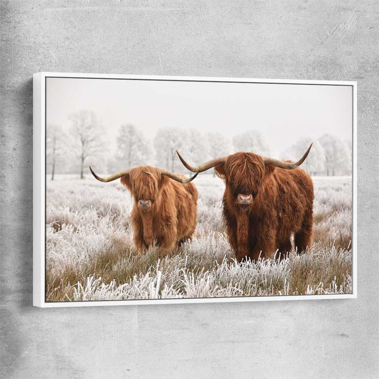 Animal wall art and canvas prints of Highland Pack with white framed canvas