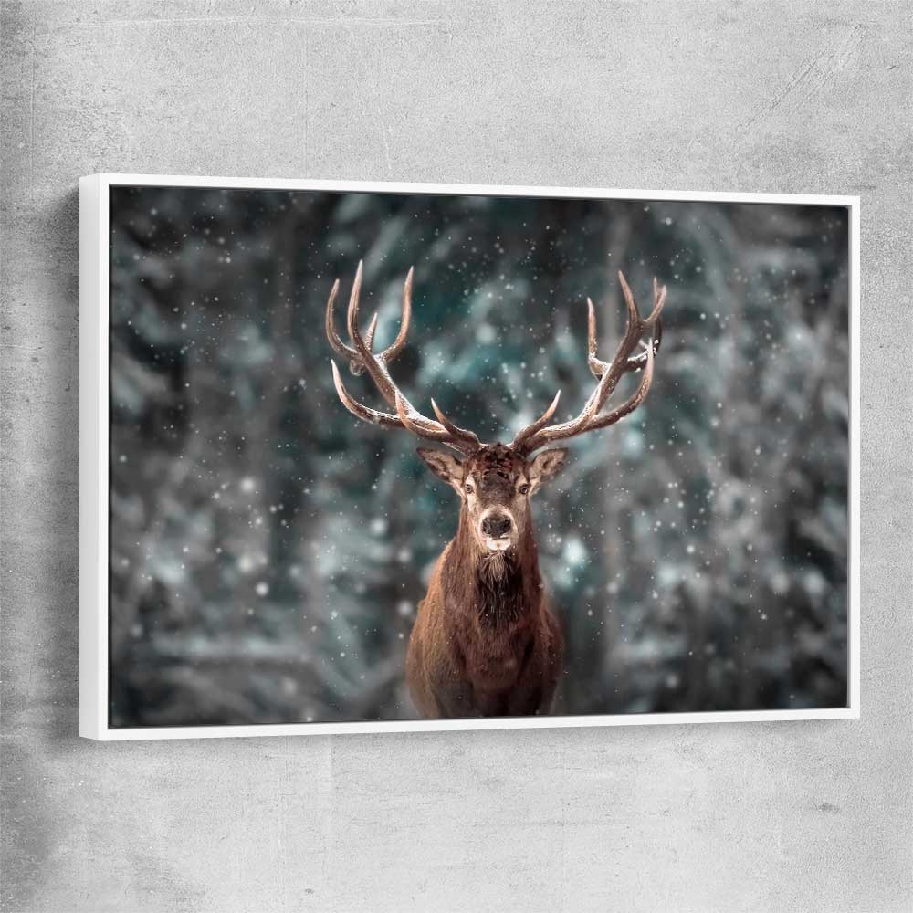 Animal wall art and canvas prints of Highland Stag Portrait with white framed canvas