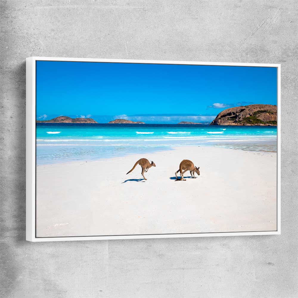 Animal wall art and canvas prints of Kangaroo Beach Couple with white framed canvas