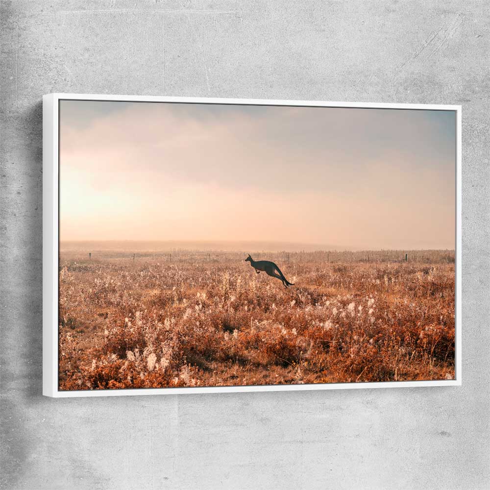 Animal wall art and canvas prints of Kangaroo Desert Horizon with white framed canvas