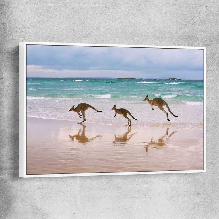 Animal wall art and canvas prints of Kangaroo Family with white framed canvas