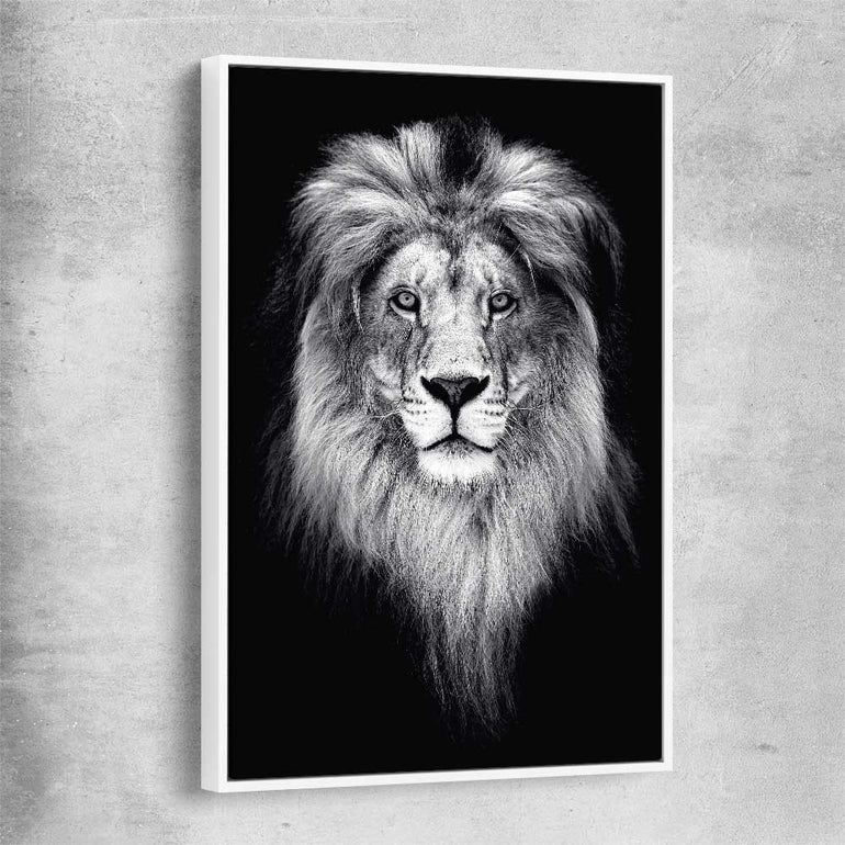 Animal wall art and canvas prints of Lion Gaze with white framed canvas