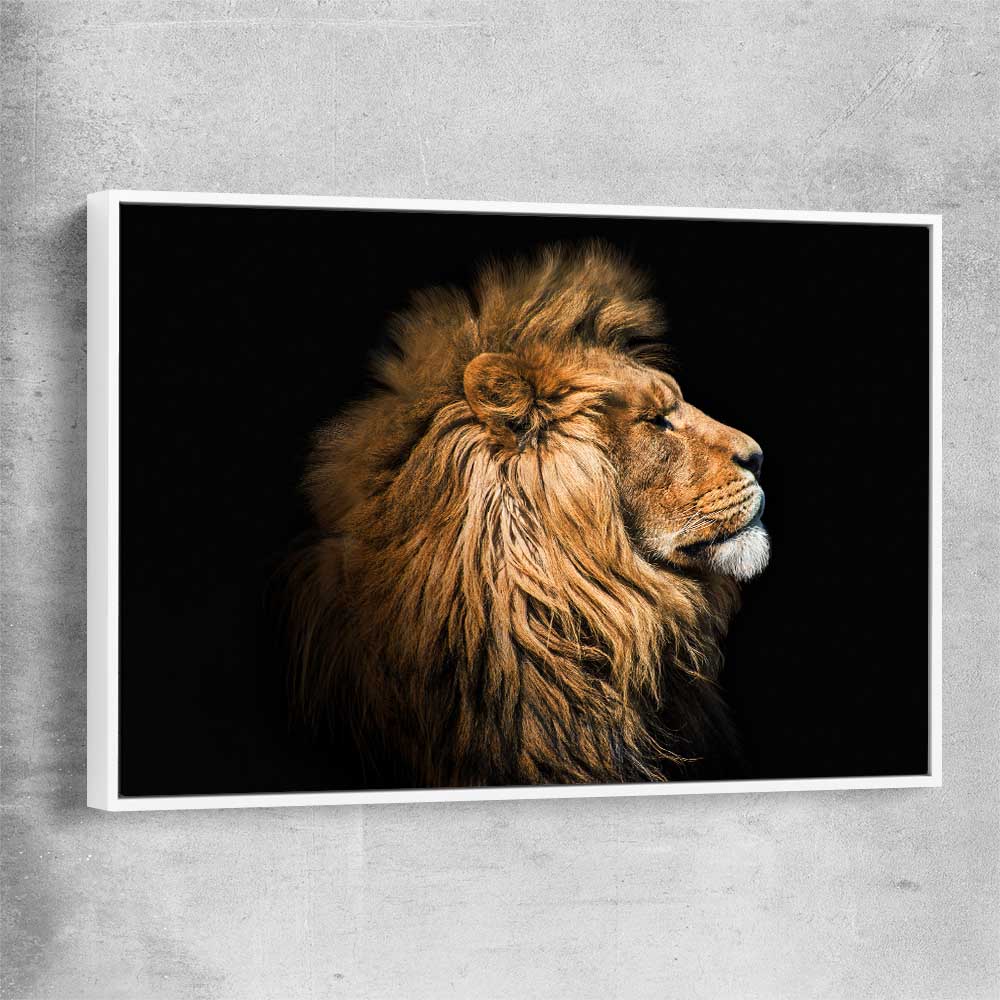 Animal wall art and canvas prints of Lion Mentality with white framed canvas