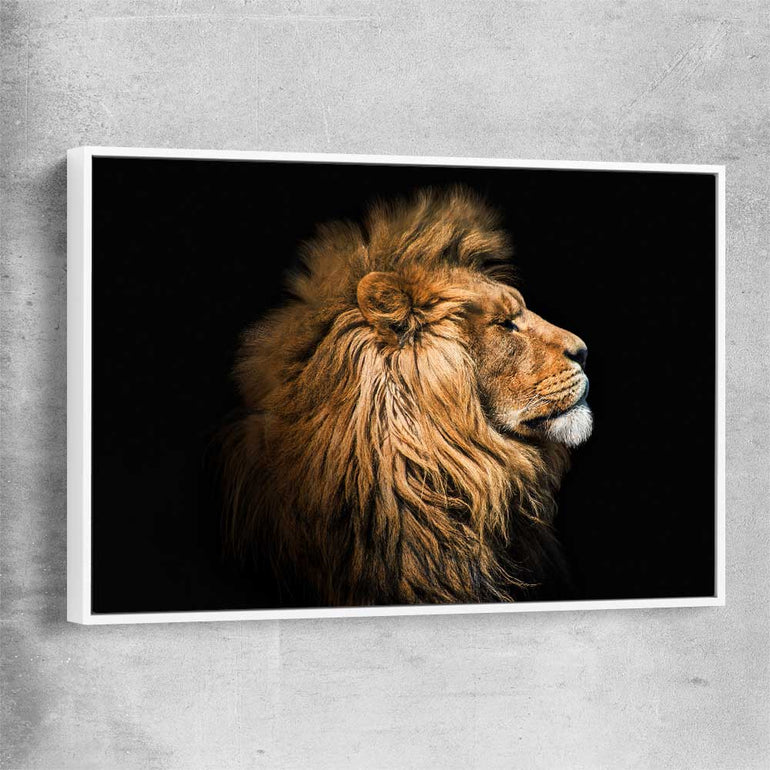 Animal wall art and canvas prints of Lion Mentality with white framed canvas