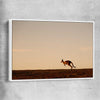 Animal wall art and canvas prints of Lone Kangaroo Plains with white framed canvas