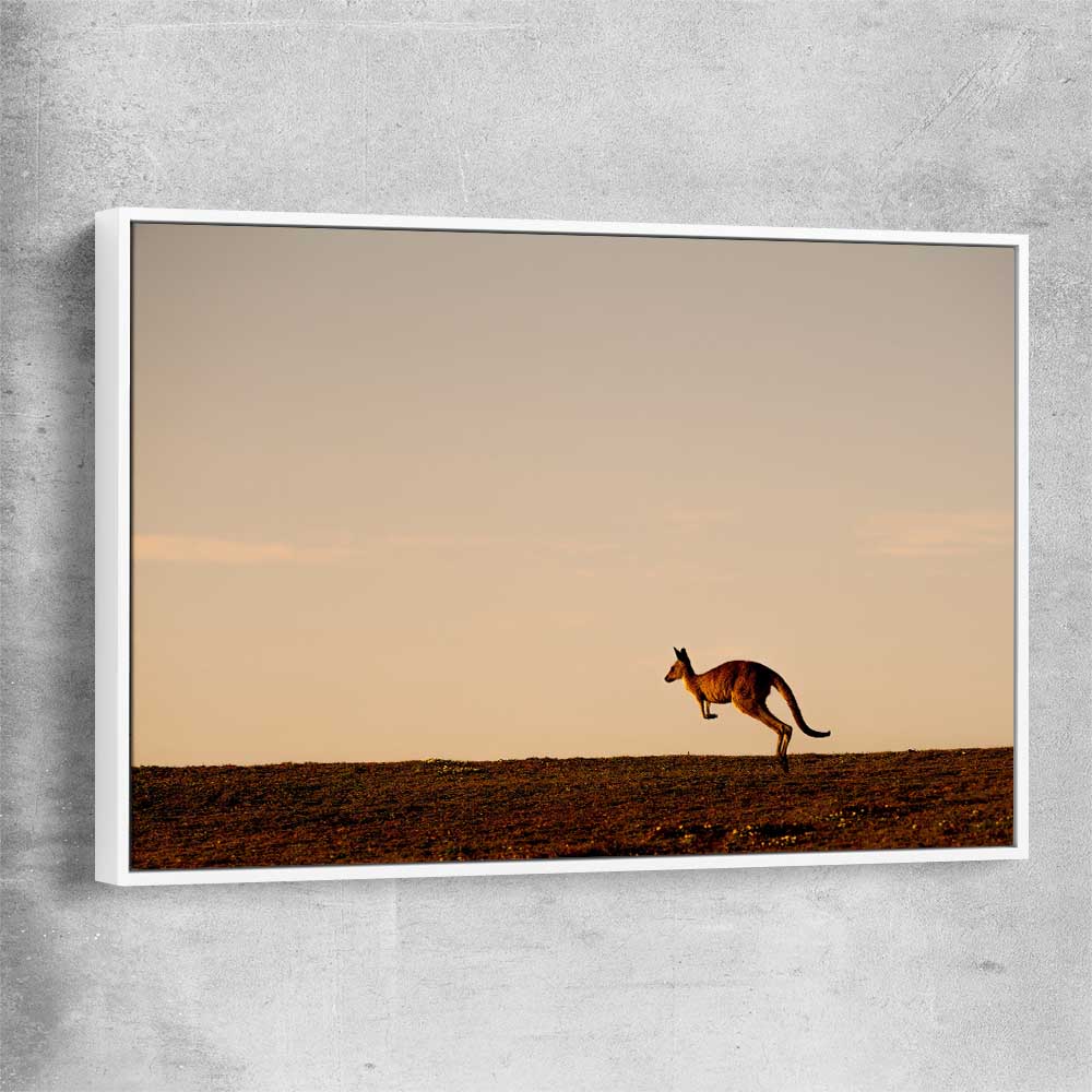 Animal wall art and canvas prints of Lone Kangaroo Plains with white framed canvas