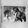 Animal wall art and canvas prints of Majestic Horse with white framed canvas
