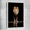 Animal wall art and canvas prints of Majestic Lion Portrait with white framed canvas