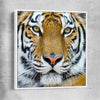 Animal wall art and canvas prints of Majestic Tiger Portrait with white framed canvas