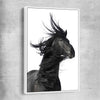 Animal wall art and canvas prints of Midnight Horse with white framed canvas