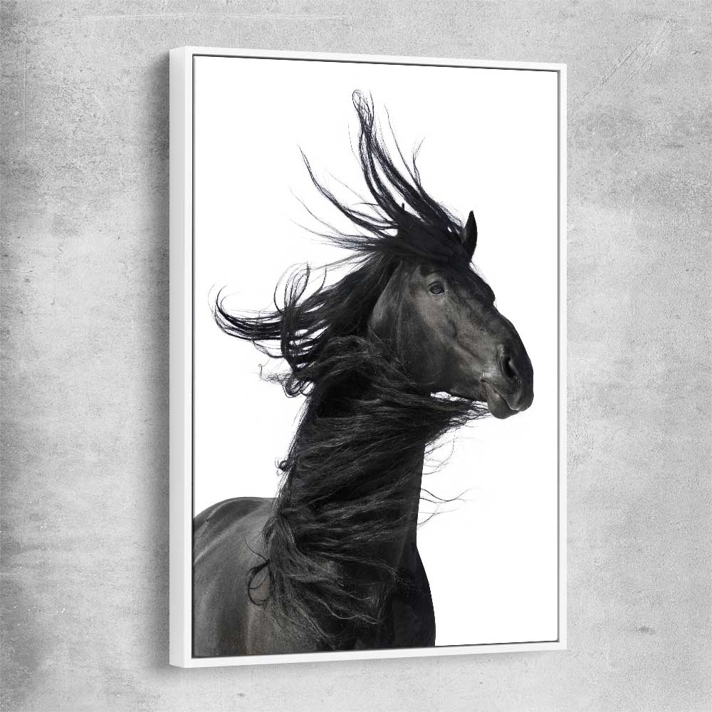 Animal wall art and canvas prints of Midnight Horse with white framed canvas