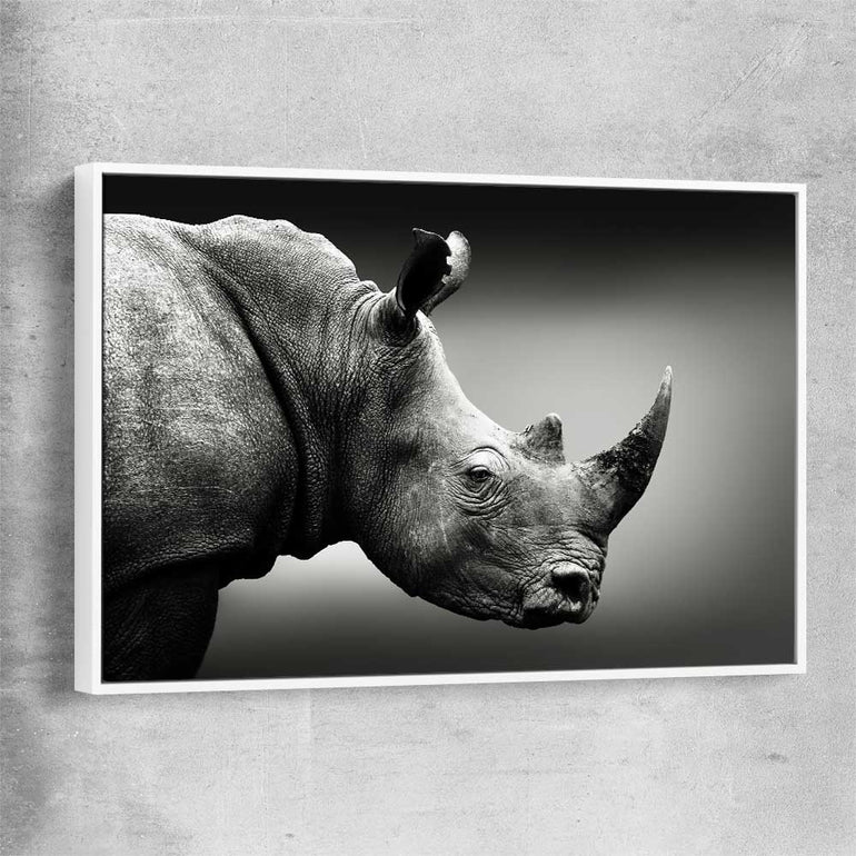 Animal wall art and canvas prints of Monochrome Rhinoceros with white framed canvas