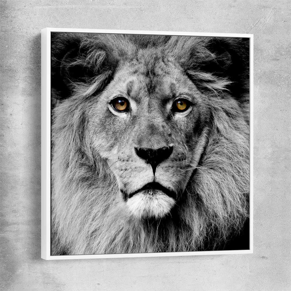 Animal wall art and canvas prints of Noble Lion Portrait with white framed canvas