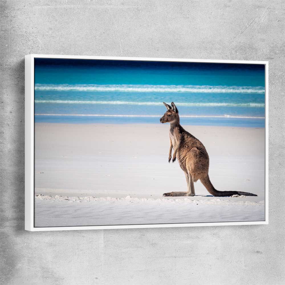 Animal wall art and canvas prints of Ocean Kangaroo Edge with white framed canvas