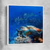 Animal wall art and canvas prints of Ocean Turtle Reef with white framed canvas
