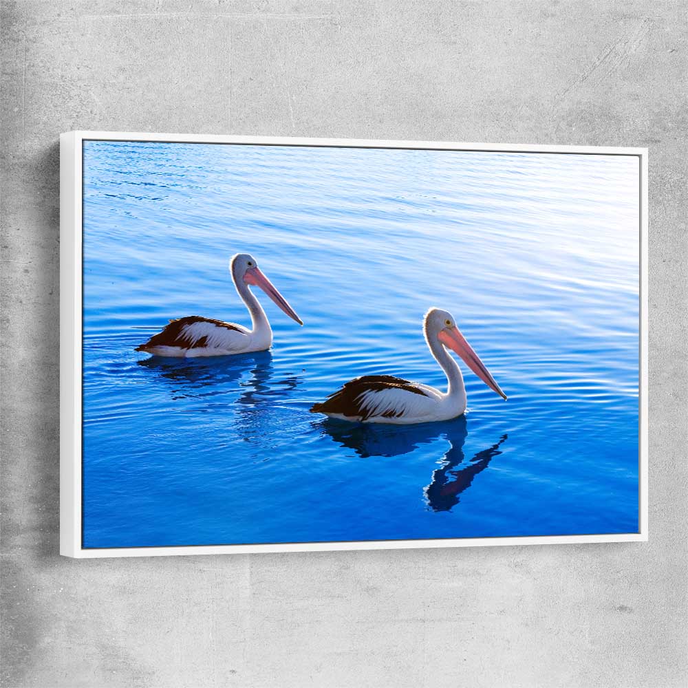 Animal wall art and canvas prints of Pelican Blue Waters with white framed canvas