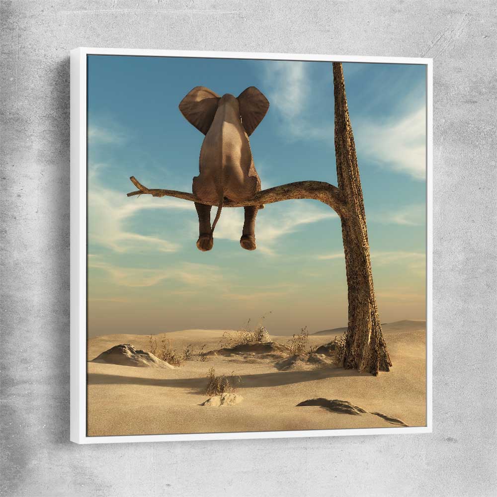 Animal wall art and canvas prints of Pondering Elephant with white framed canvas