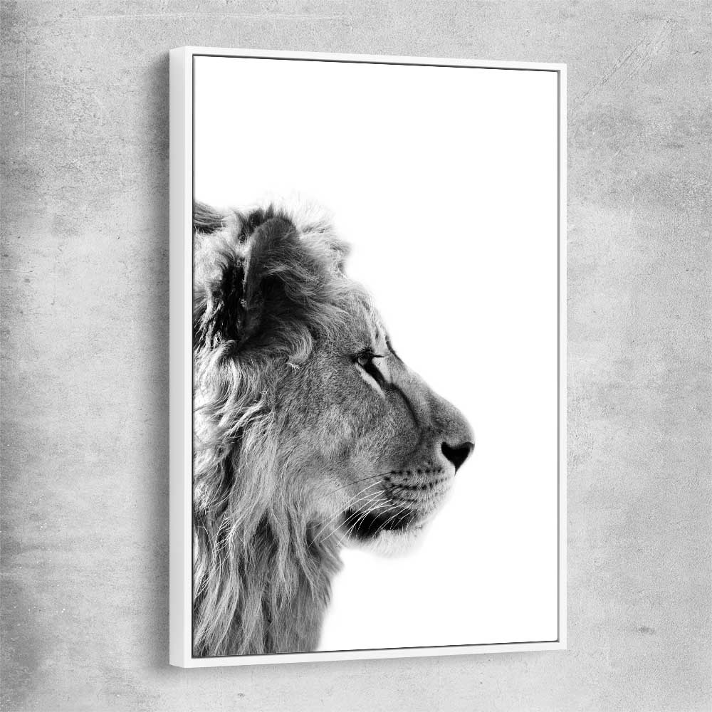 Animal wall art and canvas prints of Pondering Lion with white framed canvas