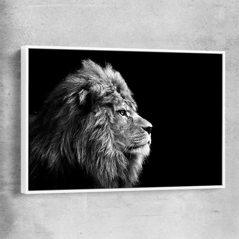 Animal wall art and canvas prints of Regal Lion Profile with white framed canvas