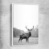 Animal wall art and canvas prints of Roaming Deer with white framed canvas